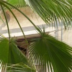 Plaçeta Montcada nº 1