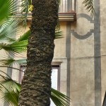 Plaçeta Montcada nº 1