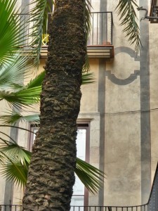 Plaçeta Montcada nº 1